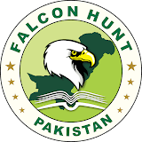 FalconHunt Pakistan Logo